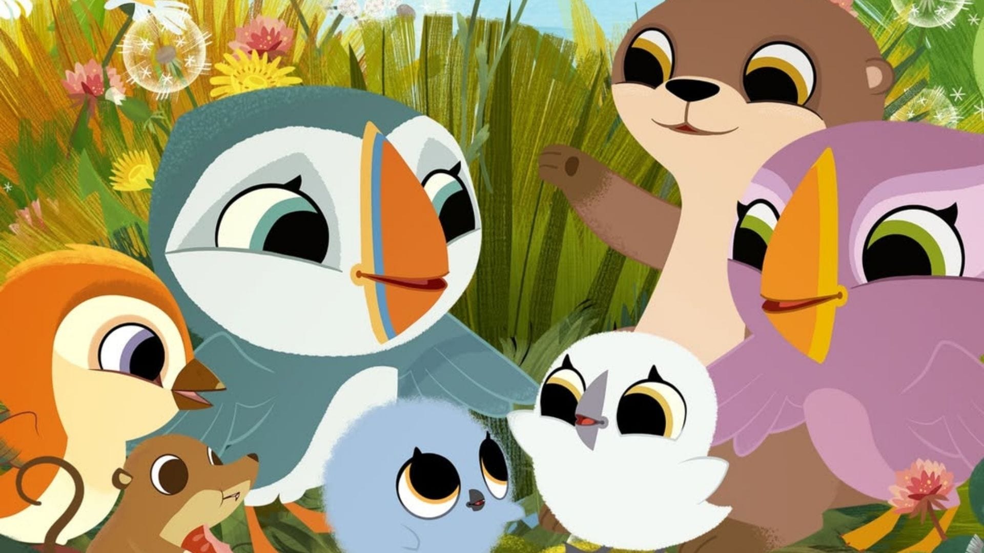 Puffin Rock